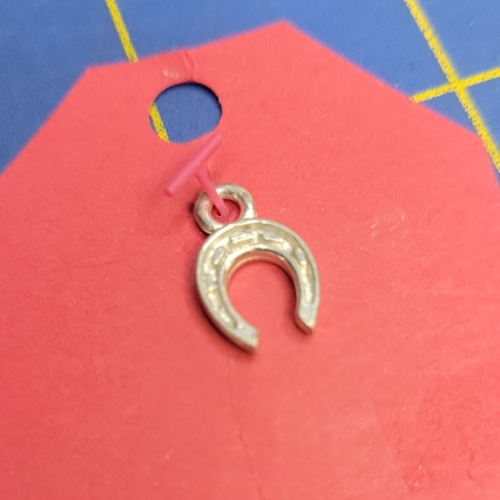 Silver Tone Horseshoe Charm